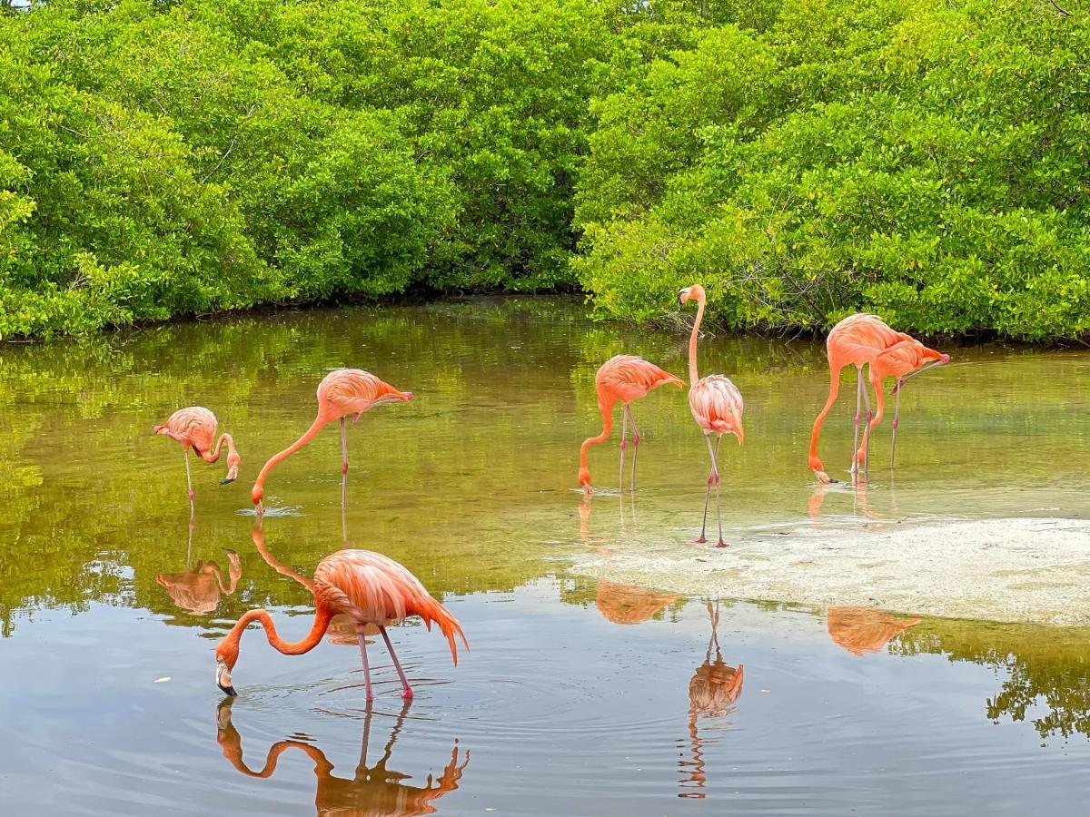 Hotel Isla Palma Reserva Natural Dış mekan fotoğraf